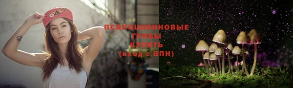 а пвп мука Нея
