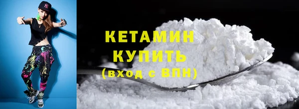 индика Надым