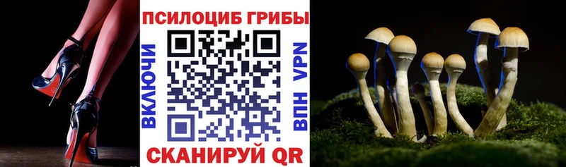 Галлюциногенные грибы мицелий  hydra маркетплейс  Пудож 